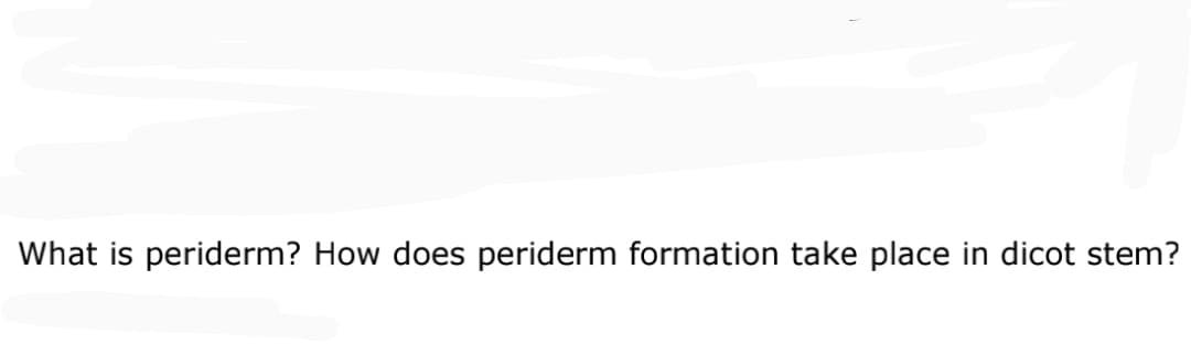What is periderm? How does periderm formation take place in dicot stem?
