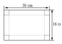 30 cm
16 ca
