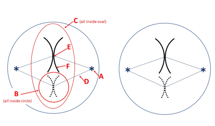 .C (all inside oval)
LE
F
В
(all inside circle)
