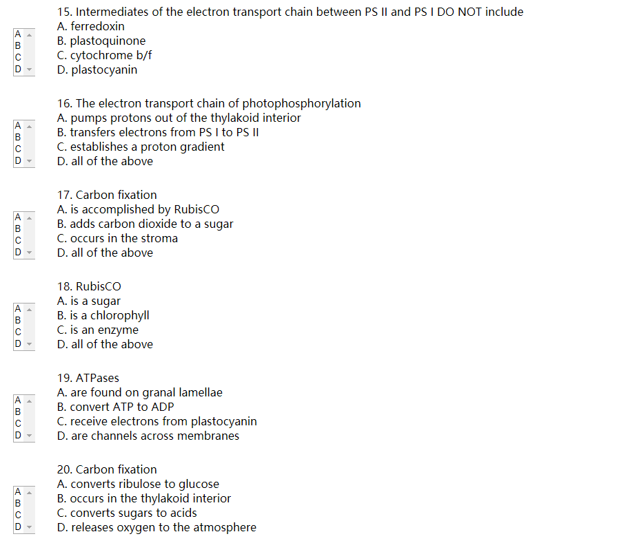 15. Intermediates of the electron transport chain between PS II and PS I DO NOT include
A. ferredoxin
B. plastoquinone
C. cytochrome b/f
D. plastocyanin
16. The electron transport chain of photophosphorylation
A. pumps protons out of the thylakoid interior
B. transfers electrons from PS I to PS II
C. establishes a proton gradient
D. all of the above
17. Carbon fixation
A. is accomplished by RubisCO
B. adds carbon dioxide to a sugar
C. occurs in the stroma
D. all of the above
18. RubisCO
A. is a sugar
B. is a chlorophyll
C. is an enzyme
D. all of the above
19. ATPases
A. are found on granal lamellae
B. convert ATP to ADP
C. receive electrons from plastocyanin
D. are channels across membranes
20. Carbon fixation
A. converts ribulose to glucose
B. occurs in the thylakoid interior
C. converts sugars to acids
D. releases oxygen to the atmosphere
