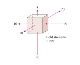 5
20
10 +
15
10
Field strengths
in N/C
20
