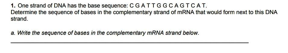 1. One strand of DNA has the base sequence: CGATTGGCAGTCA T.
Determine the sequence of bases in the complementary strand of MRNA that would form next to this DNA
strand.
a. Write the sequence of bases in the complementary MRNA strand below.
