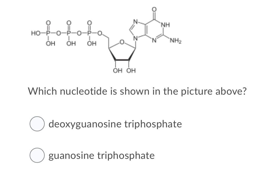 NH
но-
`NH2
ÓH
ÓH
Он ОН
Which nucleotide is shown in the picture above?
deoxyguanosine triphosphate
guanosine triphosphate
