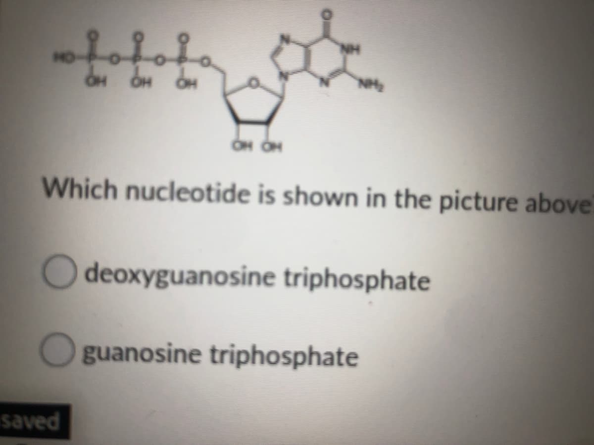 NO
Which nucleotide is shown in the picture above
O deoxyguanosine triphosphate
guanosine triphosphate
saved
