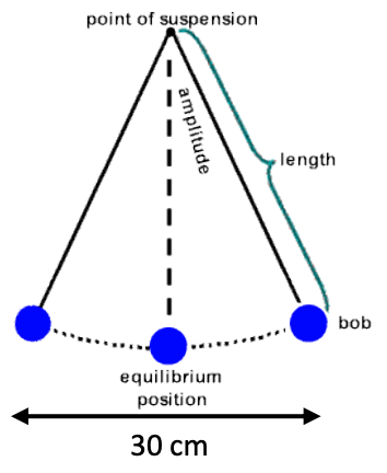 point of suspension
length
bob
equilibrium
position
30 сm
amplitude
