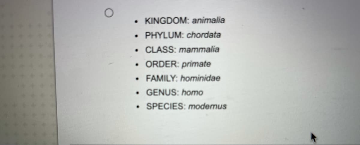 • KINGDOM: animalia
• PHYLUM: chordata
• CLASS: mammalia
• ORDER: primate
• FAMILY: hominidae
• GENUS: homo
• SPECIES: modernus
