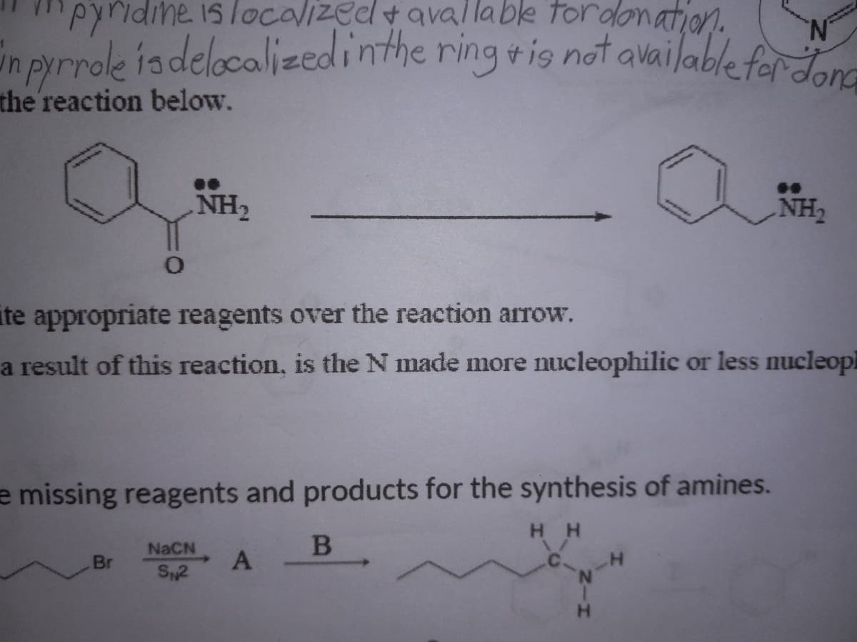 pyridine is localized + available for donation
in pyrrole is delocalized in the ring is not available for don
the reaction below.
0
Br
NH₂
te appropriate reagents over the reaction arrow.
a result of this reaction, is the N made more nucleophilic or less nucleop
e missing reagents and products for the synthesis of amines.
HH
NaCN
S₁2
A
B
N
H
NH₂
H