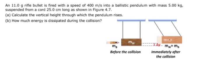 An 11.0 g rifle bullet is fired with a speed of 400 m/s into a ballistic pendulum with mass 5.00 kg,
suspended from a cord 25.0 cm long as shown in Figure 4.7.
(a) Calculate the vertical height through which the pendulum rises.
(b) How much energy is dissipated during the collision?
mw
Ax- mw+ma
MB
Before the collision
Immediately after
the collision
