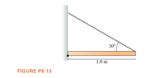 30°
1.0 m
FIGURE P8.13
