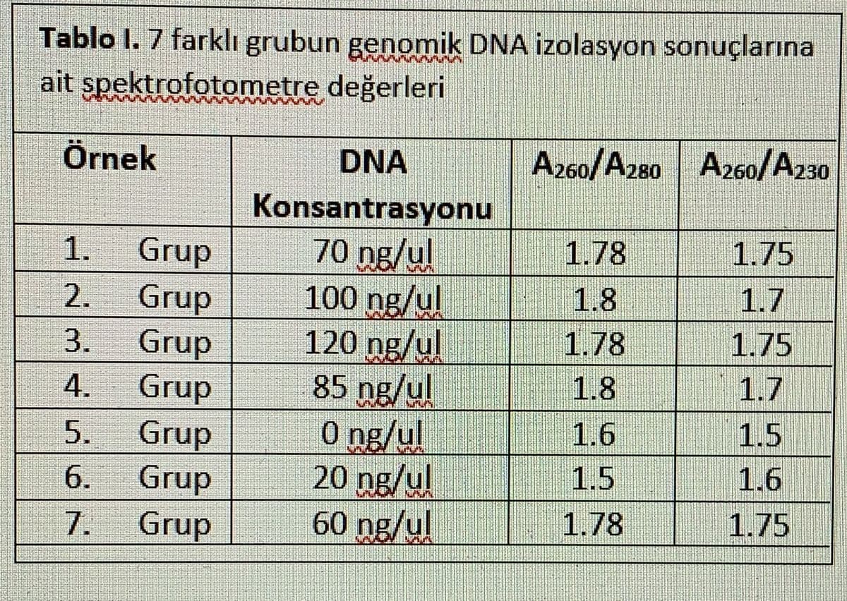 Tablo I. 7 farklı grubun genomik DNA izolasyon sonuçlarına
ait spektrofotometre değerleri
Örnek
DNA
A260/A280 A260/A230
Konsantrasyonu
70 ng/u.
1.78
1.75
Grup
Grup
3.
1.
1.7
1.75
100 ng/ul
120 ng/ul
85 ng/ul
O ng/ul
20 ng/ul
60 ng/ul
1.8
2.
1.78
Grup
Grup
Grup
Grup
Grup
1.8
1.7
4.
1.6
1.5
5.
1.5
1.6
6.
1.78
1.75
1.
