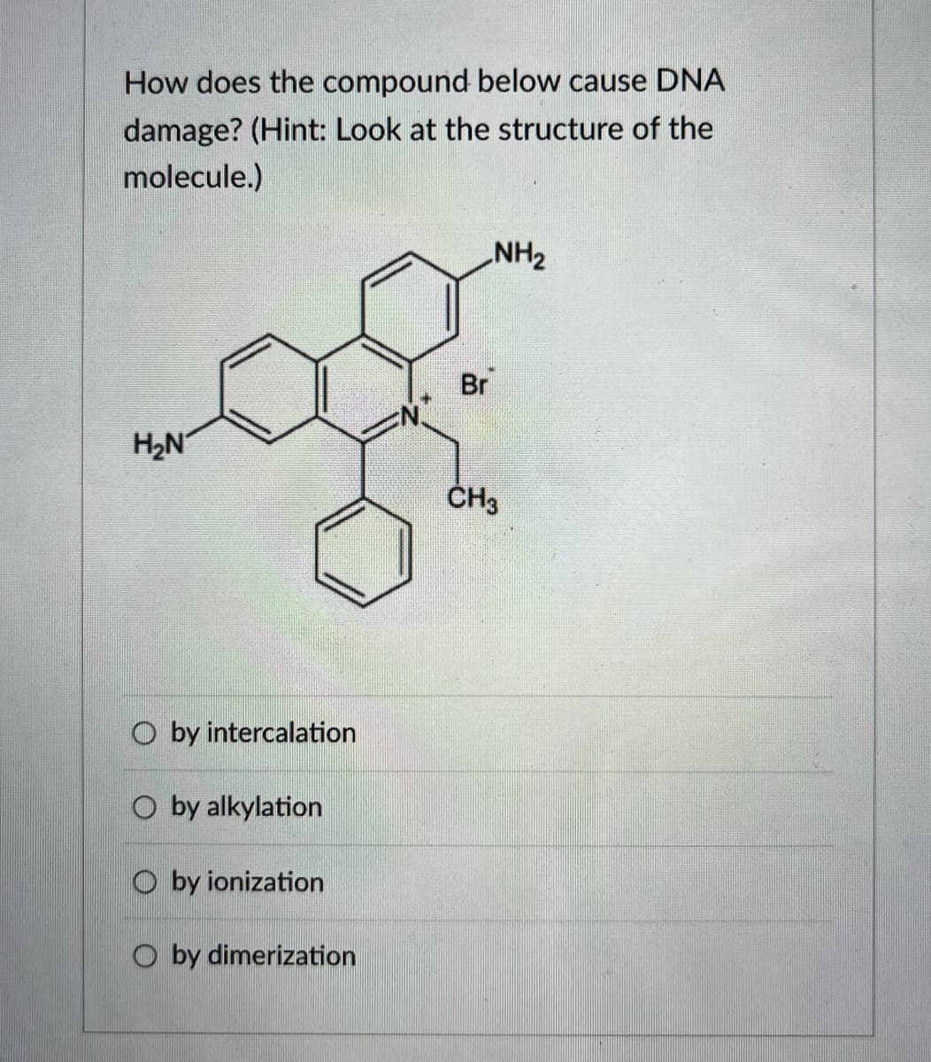 How does the compound below cause DNA
damage? (Hint: Look at the structure of the
molecule.)
NH₂
Br
H₂N²
CH3
O by intercalation
O by alkylation
O by ionization
Oby dimerization