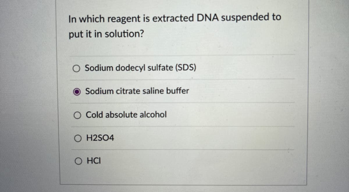 In which reagent is extracted DNA suspended to
put it in solution?
O Sodium dodecyl sulfate (SDS)
Sodium citrate saline buffer
O Cold absolute alcohol
O H2SO4
O HCI