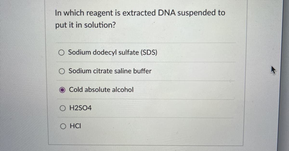 In which reagent is extracted DNA suspended to
put it in solution?
O Sodium dodecyl sulfate (SDS)
Sodium citrate saline buffer
Cold absolute alcohol
OH2SO4
O HCI