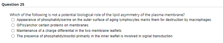 Question 25
Which of the following is not a potential biological role of the lipid asymmetry of the plasma membrane?
Appearance of phosphatidylserine on the outer surface of aging lymphocytes marks them for destruction by macrophages.
GPIsỹanchor certain proteins on membranes.
Maintenance of a charge differential in the two membrane leaflets.
The presence of phosphatidylinositol primarily in the inner leaflet is involved in signal transduction.