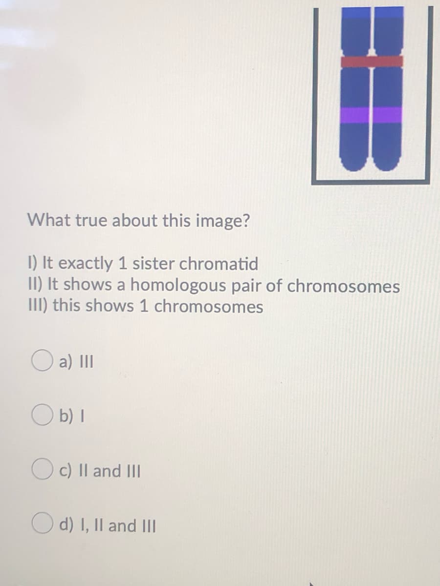 What true about this image?
I) It exactly 1 sister chromatid
II) It shows a homologous pair of chromosomes
III) this shows 1 chromosomes
O a) II
O b) I
O c) Il and II
O d) I, Il and III
