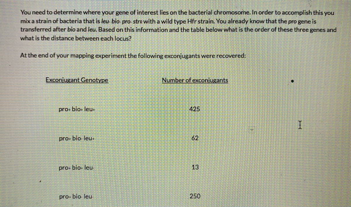 You need to determine where your gene of interest lies on the bacterial chromosome. In order to accomplish this you
mix a strain of bacteria that is leu bio pro strR with a wild type Hfr strain. You already know that the pro gene is
transferred after bio and leu. Based on this information and the table below what is the order of these three genes and
what is the distance between each locus?
At the end of your mapping experiment the following exconjugants were recovered:
Exconjugant Genotype
Number of exconjugants
pro+ bio. leu.
425
pro. bio leu
62
pro bio leu
13
pro+ bio leu
250
