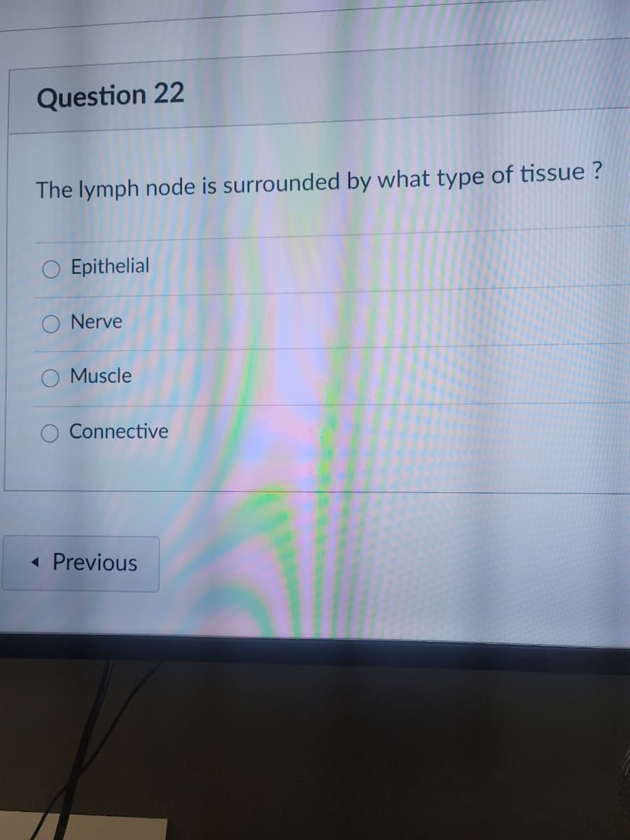 Question 22
The lymph node is surrounded by what type of tissue?
Epithelial
Nerve
Muscle
Connective
Previous