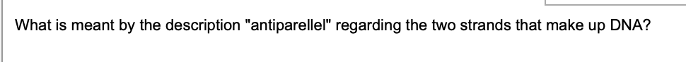 What is meant by the description "antiparellel" regarding the two strands that make up DNA?
