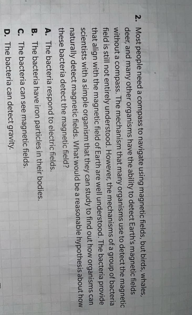 2. Most people need a compass to navigate using magnetic fields, but birds, whales,
deer, and many other organisms have the ability to detect Earth's magnetic fields
without a compass. The mechanism that many organisms use to detect the magnetic
field is still not entirely understood. However, the mechanisms of a group of bacteria
that align with the magnetic field of Earth are well understood. The bacteria provide
scientists with a simple organism that they can study to find out how organisms can
naturally detect magnetic fields. What would be a reasonable hypothesis about how
these bacteria detect the magnetic field?
A. The bacteria respond to electric fields.
B. The bacteria have iron particles in their bodies.
C. The bacteria can see magnetic fields.
D. The bacteria can detect gravity.
