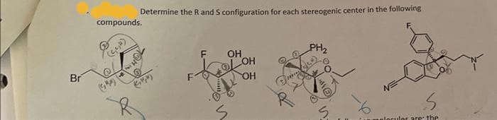 Determine the R and S configuration for each stereogenic center in the following
compounds.
PH2
OH
LOH
Br
uelocules are: the
