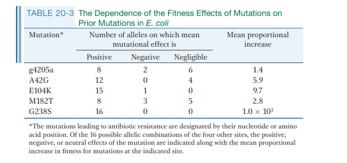 TABLE 20-3 The Dependence of the Fitness Effects of Mutations on
Prior Mutations in E. coli
Mutation*
Number of alleles on which mean
Mean proportional
mutational effect is
increase
Positive
Negative
Negligible
g4205a
8
1.4
A42G
12
4
5.9
E104K
15
1
9.7
M182T
8
3
5
2.8
G238S
16
1.0 x 103
"The mutations leading to antibiotic resistance are designated by their nucleotide or amino
acid position. Of the 16 possible allelic combinations of the four other sites, the positive,
negative, or neutral effects of the mutation are indicated along with the mean proportional
increase in fitness for mutations at the indicated site.
