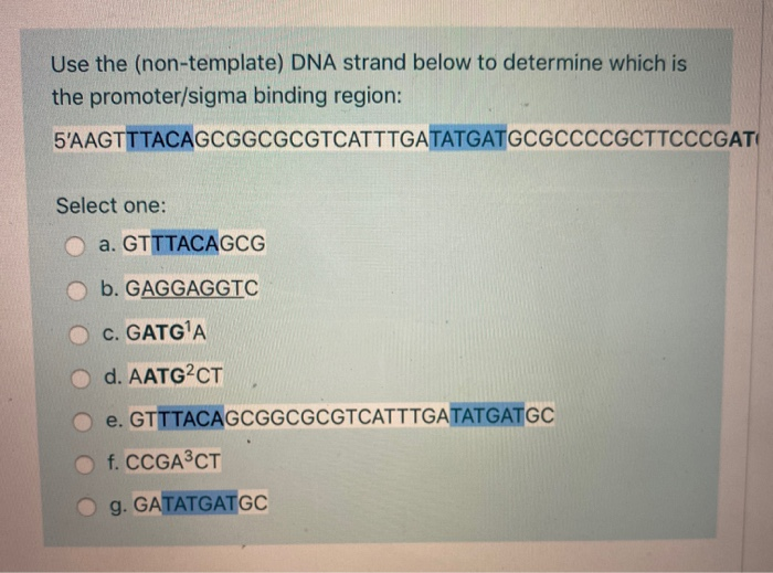 Use the (non-template) DNA strand below to determine which is
the promoter/sigma binding region:
5'AAGTTTACAGCGGCGCGTCATTTGATATGATGCGCCCCGCTTCCCGAT
Select one:
a. GTTTACAGCG
b. GAGGAGGTC
c. GATG'A
d. AATG?CT
O e. GTTTACAGCGGCGCGTCATTTGATATGATGC
O f. CCGA³CT
Og. GATATGATGC
