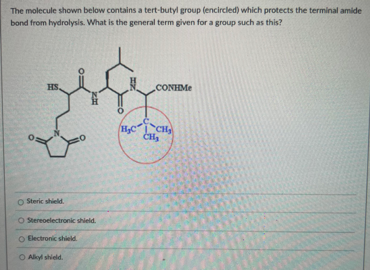 The molecule shown below contains a tert-butyl group (encircled) which protects the terminal amide
bond from hydrolysis. What is the general term given for a group such as this?
HS.
CONHME
Hc`CH,
O Steric shield.
O Stereoelectronic shield.
Electronic shield.
O Alkyl shield.
