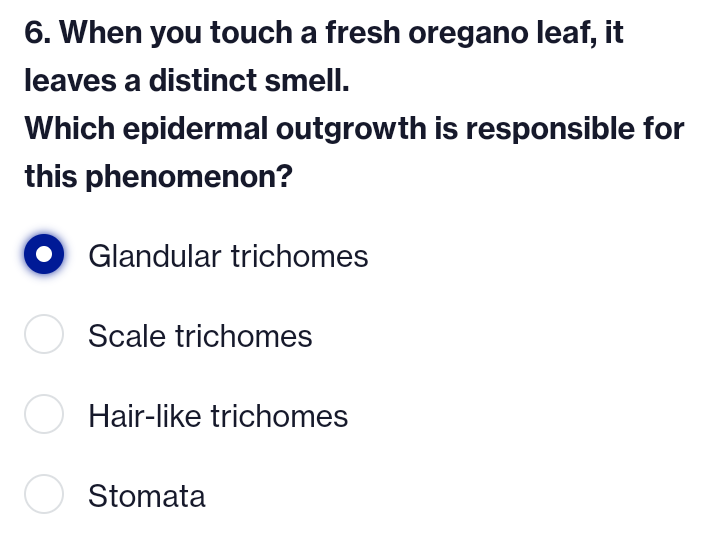 6. When you touch a fresh oregano leaf, it
leaves a distinct smell.
Which epidermal outgrowth is responsible for
this phenomenon?
Glandular trichomes
O Scale trichomes
Hair-like trichomes
O Stomata