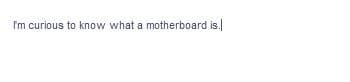 I'm curious to know what a motherboard is.
