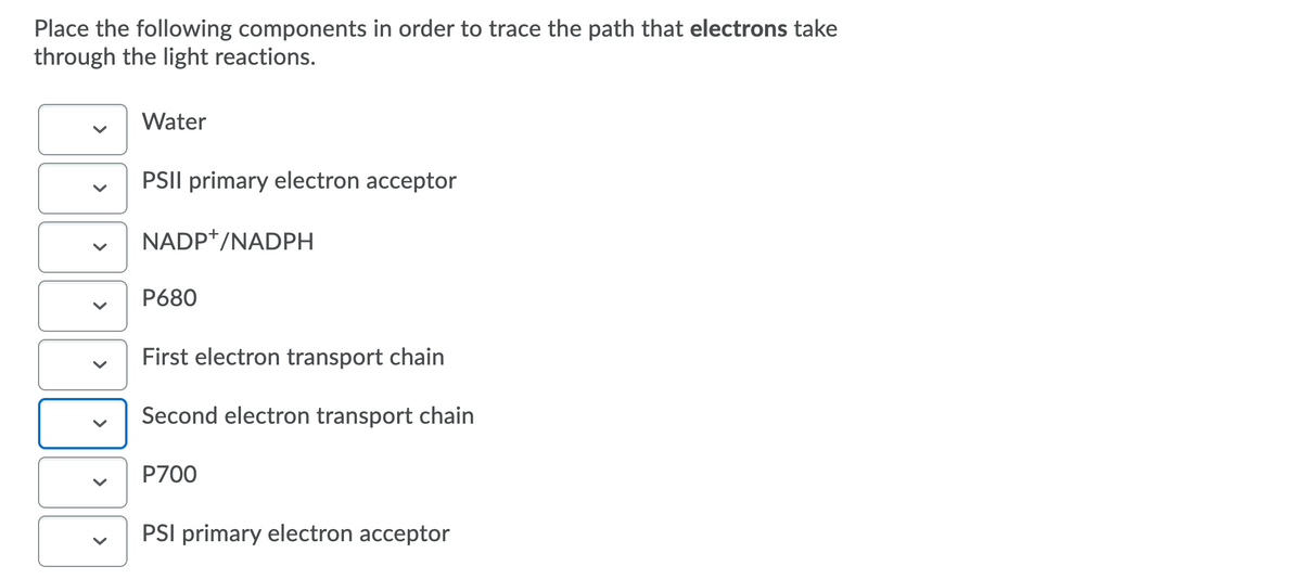 Place the following components in order to trace the path that electrons take
through the light reactions.
Water
PSII primary electron acceptor
NADP*/NADPH
P680
First electron transport chain
Second electron transport chain
P700
PSI primary electron acceptor
