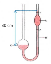 30 cm
B