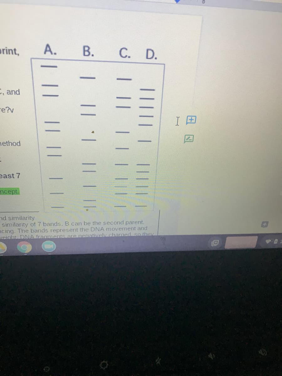 print,
A.
В.
C. D.
C, and
re?v
nethod
east 7
ncept.
nd similarity
similarity of 7 bands. B can be the second parent.
ncing. The bands represent the DNA movement and
eiaht DNA fragments are negativvely.charged so they
|||||
| |
|| | ||
