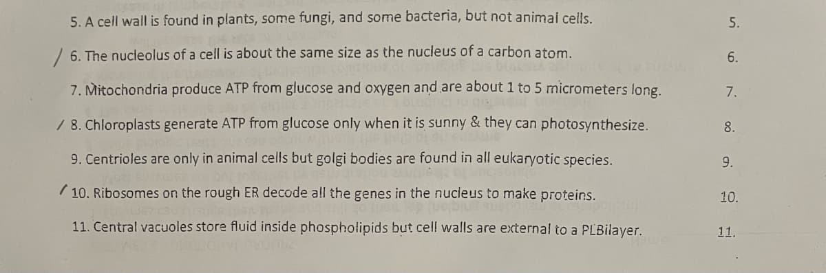 5. A cell wall is found in plants, some fungi, and some bacteria, but not animai cells.
5.
/6. The nucleolus of a cell is about the same size as the nucleus of a carbon atom.
6.
7. Mitochondria produce ATP from glucose and oxygen and are about 1 to 5 micrometers long.
7.
/ 8. Chloroplasts generate ATP from glucose only when it is sunny & they can photosynthesize.
8.
9. Centrioles are only in animal cells but golgi bodies are found in all eukaryotic species.
9.
/ 10. Ribosomes on the rough ER decode all the genes in the nucieus to make proteins.
10.
11. Central vacuoles store fluid inside phospholipids but cel! walls are external to a PLBilayer.
11.
