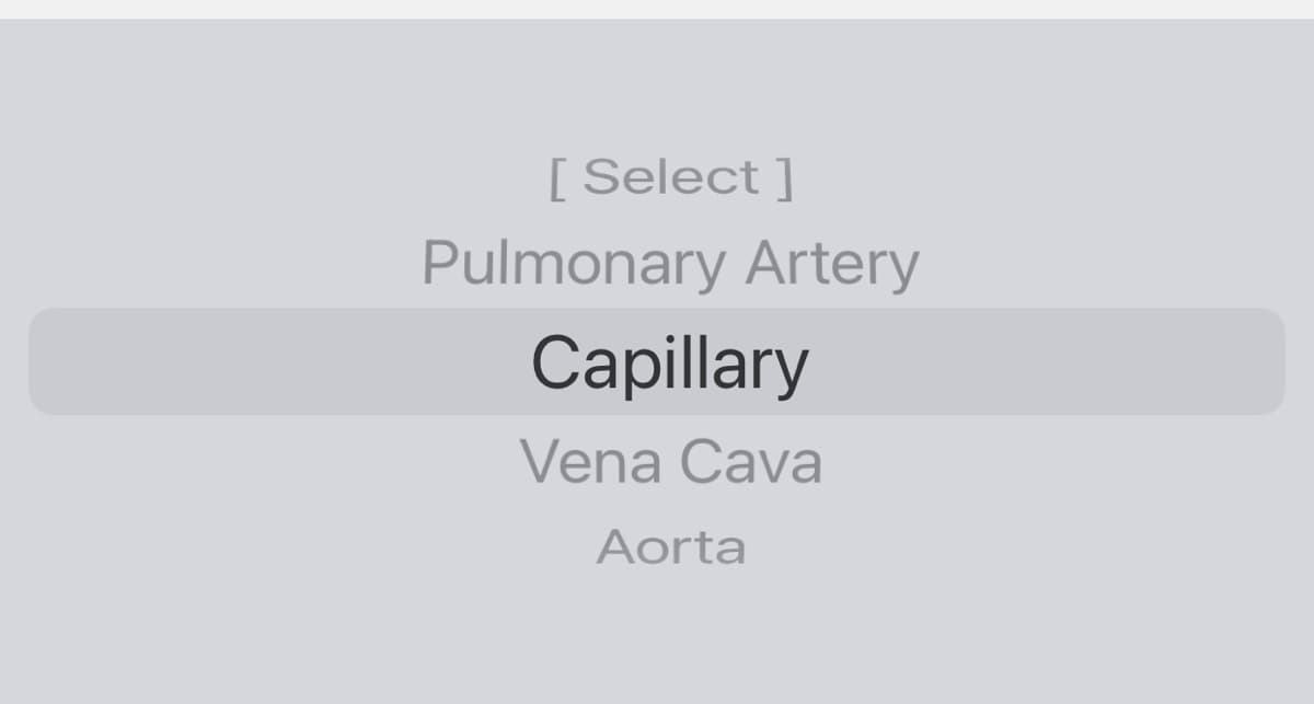 [ Select ]
Pulmonary Artery
Capillary
Vena Cava
Aorta
