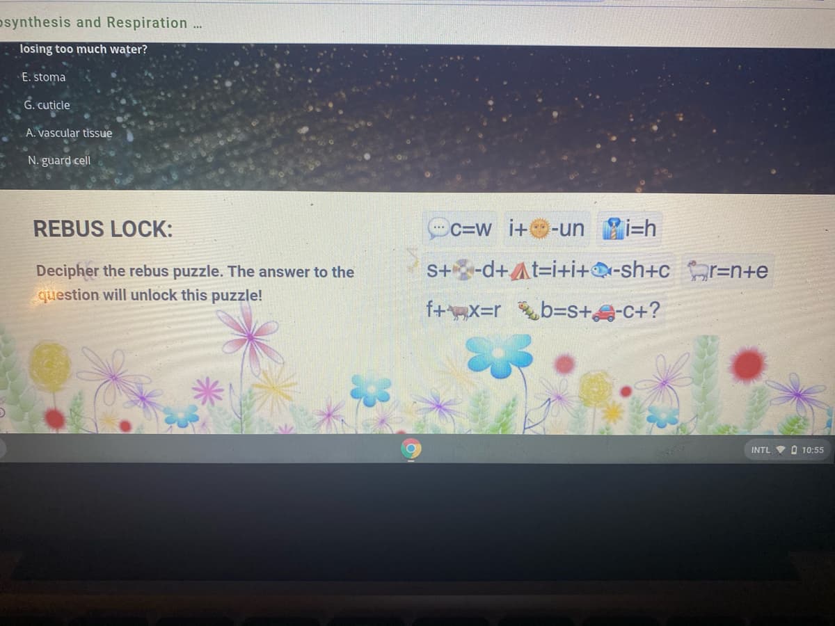 osynthesis and Respiration
...
losing too much water?
E. stoma
G. cuticle
A. vascular tissue
N. guard cell
REBUS LOCK:
C=W i+-un
i=h
Decipher the rebus puzzle. The answer to the
S+-d+At=i+i+Q-sh+c r=n+e
question will unlock this puzzle!
f+x=rb3S+C+?
INTL V O 10:55
