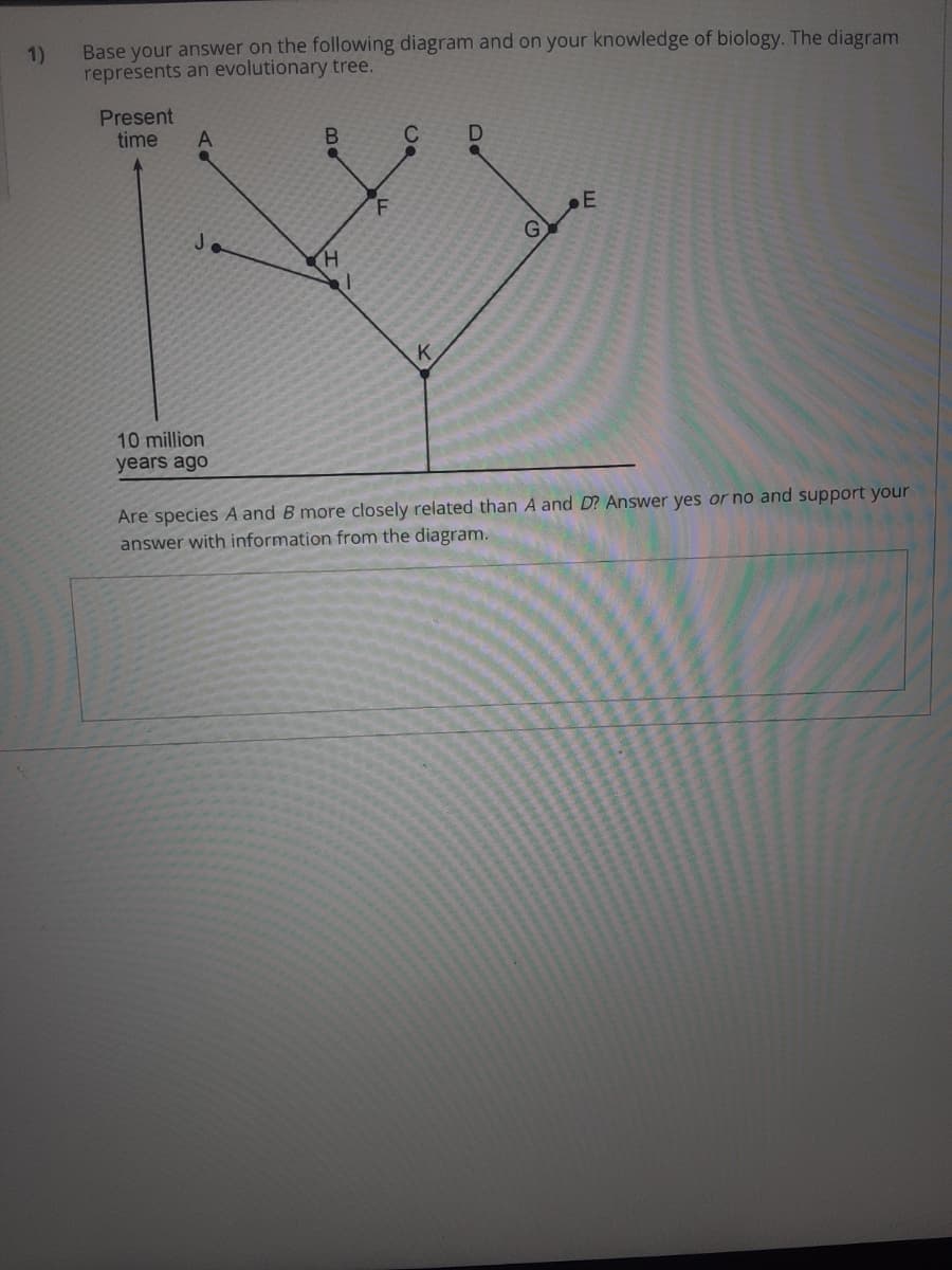 Base your answer on the following diagram and on your knowledge of biology. The diagram
1)
represents an evolutionary tree.
Present
time
A
C
E
10 million
years ago
Are species A and B more closely related than A and D? Answer yes or no and support your
answer with information from the diagram.
