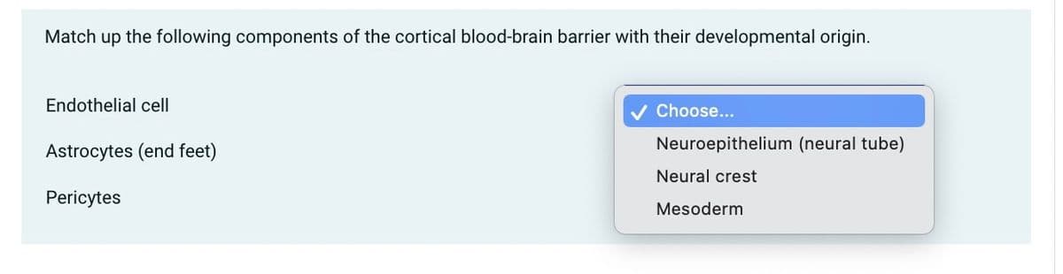 Match up the following components of the cortical blood-brain barrier with their developmental origin.
Endothelial cell
Astrocytes (end feet)
Pericytes
Choose...
Neuroepithelium (neural tube)
Neural crest
Mesoderm