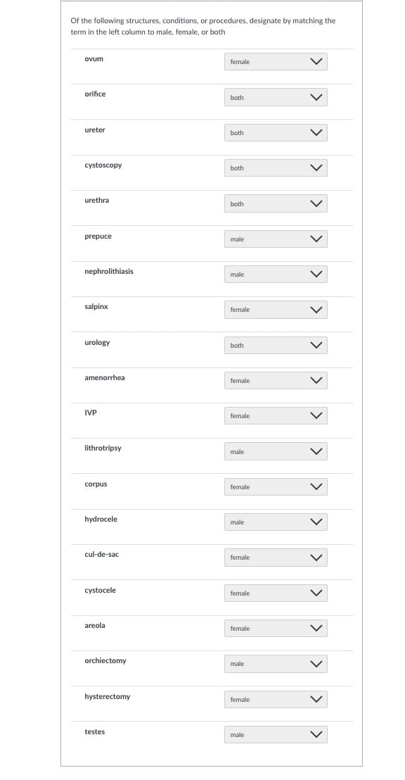 Of the following structures, conditions, or procedures, designate by matching the
term in the left column to male, female, or both
ovum
orifice
ureter
cystoscopy
urethra
prepuce
nephrolithiasis
salpinx
urology
amenorrhea
IVP
lithrotripsy
corpus
hydrocele
cul-de-sac
cystocele
areola
orchiectomy
hysterectomy
testes
female
both
both
both
both
male
male
female
both
female
female
male
female
male
female
female
female
male
1
female
male
>
>
>
V
>
>
>
>
>