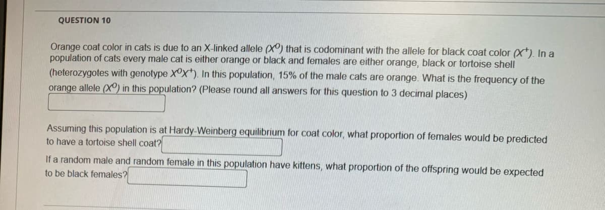 QUESTION 10
Orange coat color in cats is due to an X-linked allele (X) that is codominant with the allele for black coat color (X). In a
population of cats every male cat is either orange or black and females are either orange, black or tortoise shell
(heterozygotes with genotype XOX+). In this population, 15% of the male cats are orange. What is the frequency of the
orange allele (X) in this population? (Please round all answers for this question to 3 decimal places)
Assuming this population is at Hardy-Weinberg equilibrium for coat color, what proportion of females would be predicted
to have a tortoise shell coat?
If a random male and random female in this population have kittens, what proportion of the offspring would be expected
to be black females?