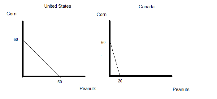 Corn
United States
Corn
60
LL
Peanuts
60
60
Canada
20
Peanuts