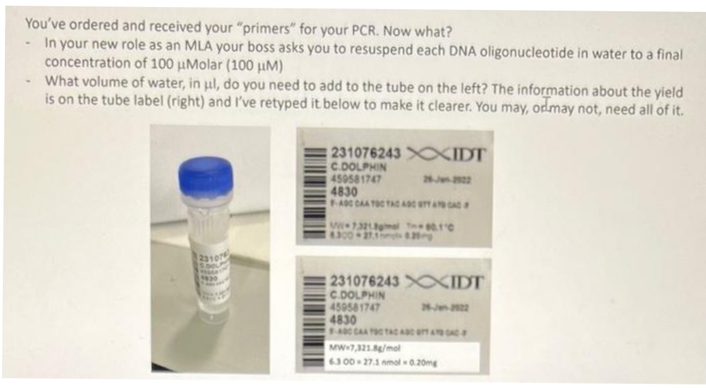 You've ordered and received your "primers" for your PCR. Now what?
In your new role as an MLA your boss asks you to resuspend each DNA oligonucleotide in water to a final
concentration of 100 uMolar (100 µM)
What volume of water, in ul, do you need to add to the tube on the left? The information about the yield
is on the tube label (right) and I've retyped it below to make it clearer. You may, odmay not, need all of it.
231076243XXIDT
C.DOLPHIN
450581747
4830
A CAA TO TAt A AA
28Jen2
0.1C
4300 - 27.1ms.2g
23107
231076243 XIDT
C.DOLPHIN
45058 1747
4830
AC CAA T TACA ADA
MW7,321.8/mol
63 00- 27.1 nmol-0.20mg

