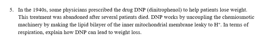 5. In the 1940s, some physicians prescribed the drug DNP (dinitrophenol) to help patients lose weight.
This treatment was abandoned after several patients died. DNP works by uncoupling the chemiosmotic
machinery by making the lipid bilayer of the inner mitochondrial membrane leaky to H*. In terms of
respiration, explain how DNP can lead to weight loss.
