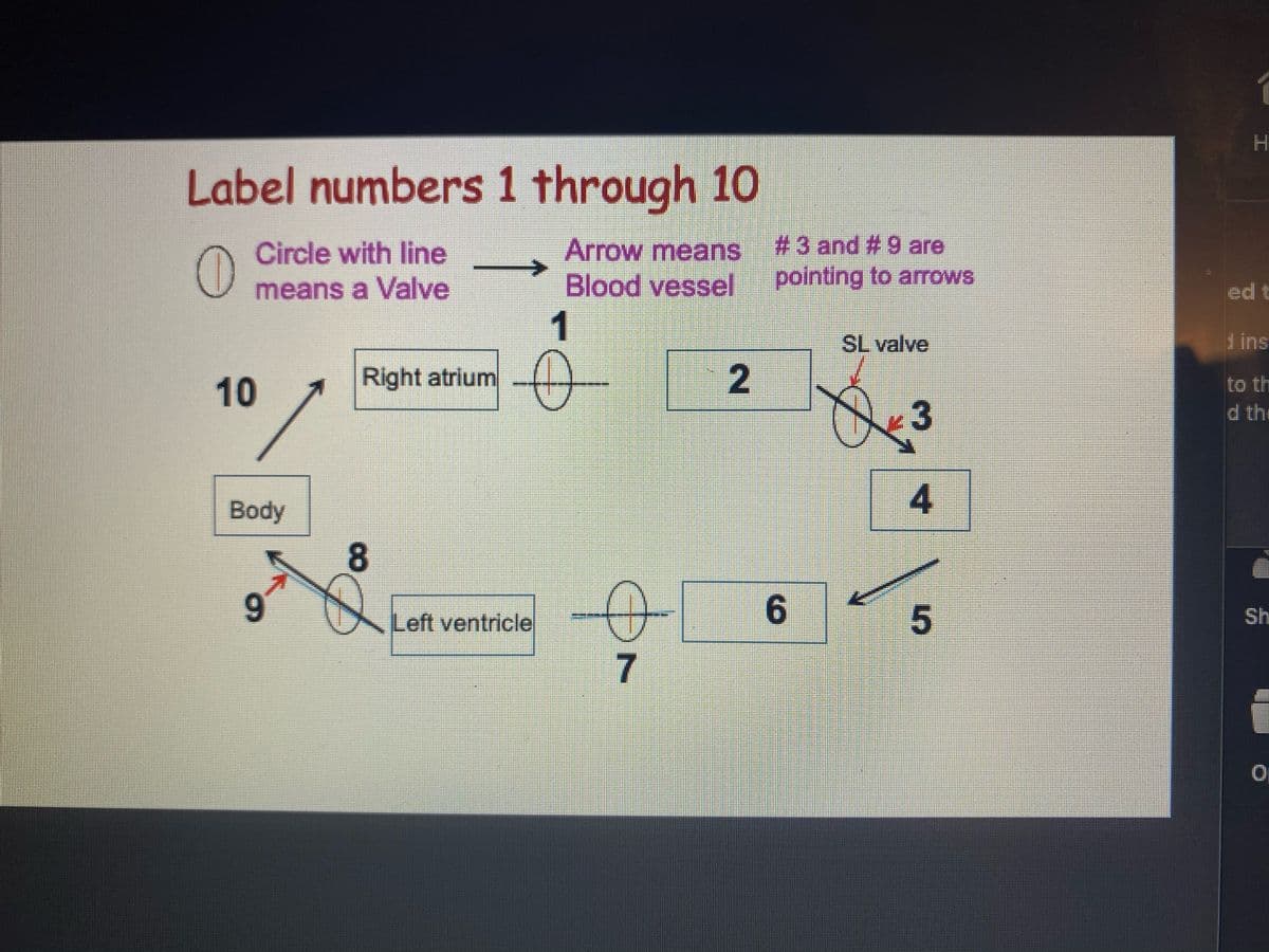 Label numbers 1 through 10
Arrow means
->
Blood vessel
#3 and #9 are
pointing to arows
Circle with line
means a Valve
ed t
1
SL valve
d ins
10
Right atrium
to th
3
d the
Body
4
8
9.
15
Left ventricle
Sh
7
工
2.
