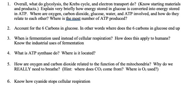 1. Overall, what do glycolysis, the Krebs cycle, and electron transport do? (Know starting materials
and products.) Explain very briefly how energy stored in glucose is converted into energy stored
in ATP. Where are oxygen, carbon dioxide, glucose, water, and ATP involved, and how do they
relate to each other? Where is the most number of ATP produced?
2. Account for the 6 Carbons in glucose. In other words where does the 6 carbons in glucose end up
3. When is fermentation used instead of cellular respiration? How does this apply to humans?
Know the industrial uses of fermentation
4. What is ATP synthase do? Where is it located?
5. How are oxygen and carbon dioxide related to the function of the mitochondria? Why do we
REALLY need to breathe? (Hint: where does CO2 come from? Where is O2 used?)
6. Know how cyanide stops cellular respiration
