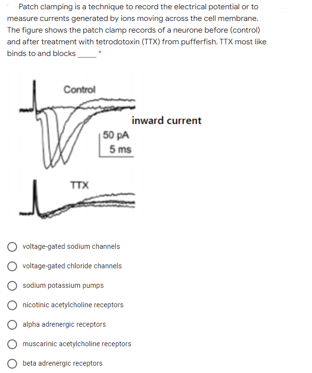 Patch clamping is a technique to record the electrical potential or to
measure currents generated by ions moving across the cell membrane.
The figure shows the patch clamp records of a neurone before (control)
and after treatment with tetrodotoxin (TTX) from pufferfish. TTX most like
binds to and blocks
Control
inward current
50 pA
5 ms
TTX
voltage-gated sodium channels
voltage-gated chloride channels
sodium potassium pumps
nicotinic acetylcholine receptors
alpha adrenergic receptors
muscarinic acetylcholine receptors
beta adrenergic receptors
