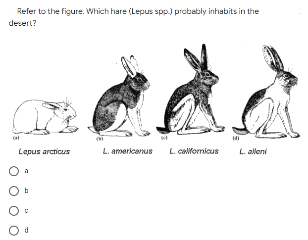 Refer to the figure. Which hare (Lepus spp.) probably inhabits in the
desert?
(a)
(c)
(d)
Lepus arcticus
L. americanus
L. californicus
L. alleni
a
O d
