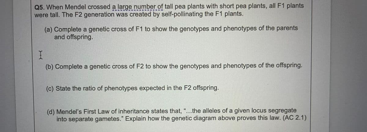 Q5. When Mendel crossed a large number of tall pea plants with short pea plants, all F1 plants
were tall. The F2 generation was created by self-pollinating the F1 plants.
(a) Complete a genetic cross of F1 to show the genotypes and phenotypes of the parents
and offspring.
I
(b) Complete a genetic cross of F2 to show the genotypes and phenotypes of the offspring.
(c) State the ratio of phenotypes expected in the F2 offspring.
(d) Mendel's First Law of inheritance states that, "...the alleles of a given locus segregate
into separate gametes." Explain how the genetic diagram above proves this law. (AC 2.1)
