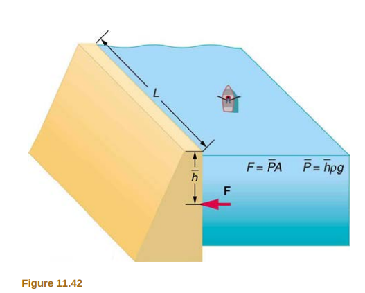 F= PA
P= hpg
Figure 11.42
