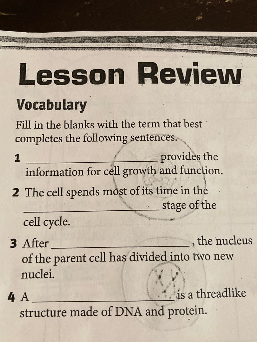 Lesson Review
Vocabulary
Fill in the blanks with the term that best
completes the following sentences.
provides the
information for cell growth and function.
1
2 The cell spends most of its time in the
stage of the
cell cycle.
the nucleus
3 After
of the parent cell has divided into two new
nuclei.
4 is a threadlike
4 A
structure made of DNA and protein.
