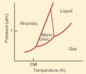 Liquid
Rhombic
Mono-
clinic
Gas
298
Temperature (K)
Pressure (atm)
